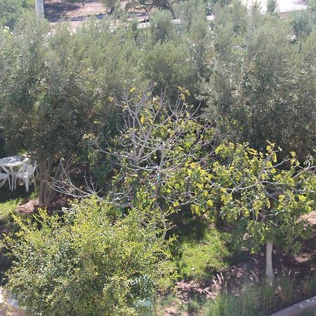 Les Jardins Fleuris Bed and Breakfast Εσαουίρα Εξωτερικό φωτογραφία
