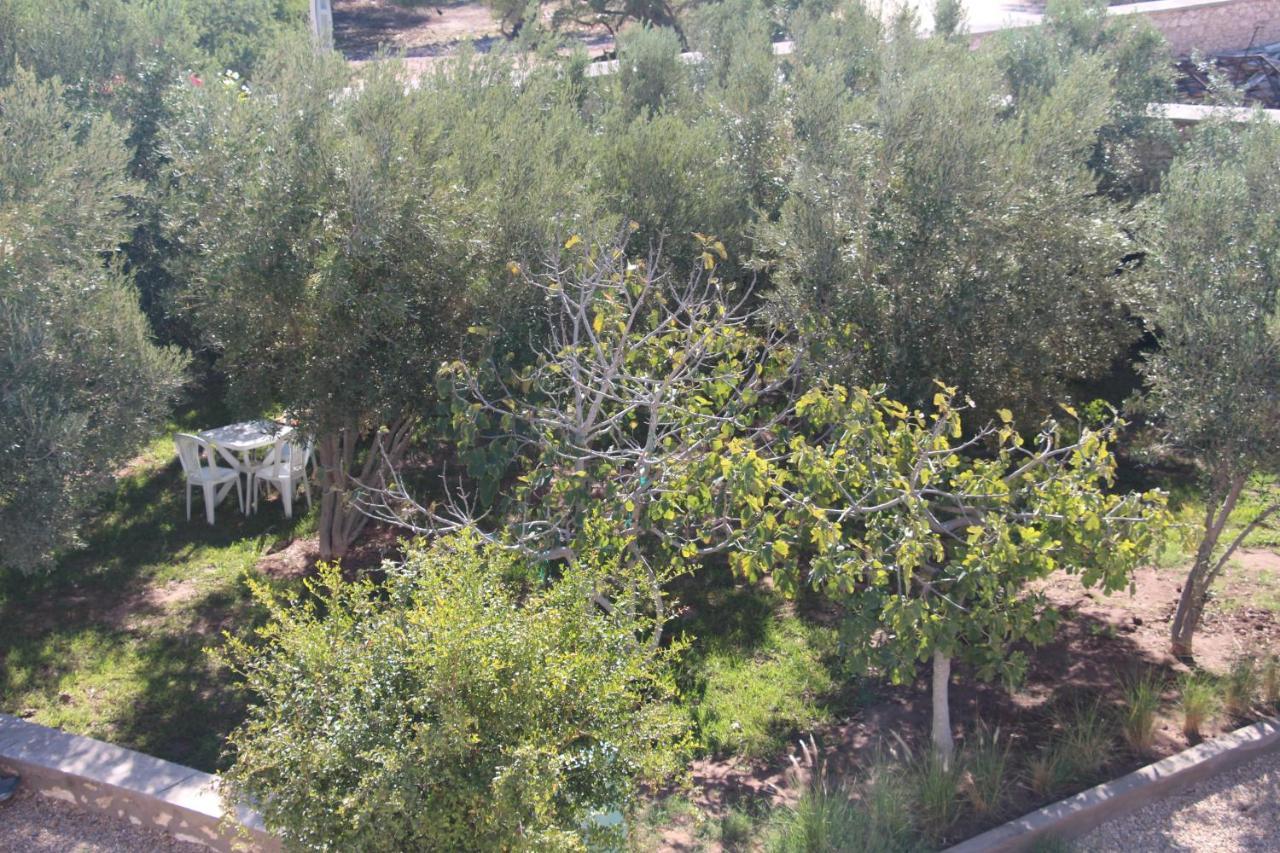 Les Jardins Fleuris Bed and Breakfast Εσαουίρα Εξωτερικό φωτογραφία